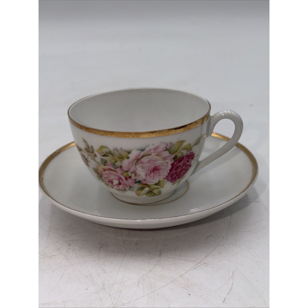 CT Altwasser Germany China Tea Cup and Saucer ~Pink Rose